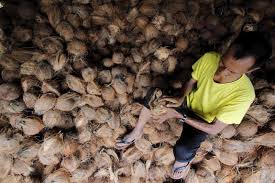 Harga pokok penjualan (hpp atau cogs). Fama Sedia 50 Barangan Berharga Borong Niaga Mstar
