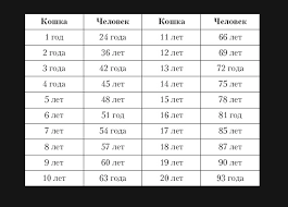 Insanlarda Kedi Yasi Nasil Hesaplanir Bir Kedinin Bir Yili Veya Bir Kedinin Bir Insana Kiyasla Ne Kadar Yasadigi