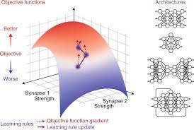 Computational neuroscience certificate by university of washington (coursera) 6. A Deep Learning Framework For Neuroscience Nature Neuroscience
