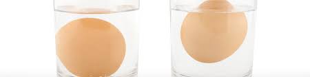 Once the egg is cracked, you can test its freshness just by looking at its whiteness. How To Tell If Your Eggs Are Off Australian Eggs