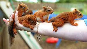 Pin On Loving Animals