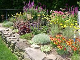 This garden uses tulips with a bright red and yellow draw alongside a number of violets to punctuate the tulips and provide depth. Planning A Perennial Garden Binley Florist Garden Center
