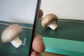 There are also various apps related to plant care, watering reminders, journals, garden management, etc. A Potentially Deadly Mushroom Identifying App Highlights The Dangers Of Bad Ai The Verge