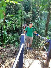 Bukit gasing terletak di petaling jaya, selangor terkenal dikalangan warga kota lembah klang dengan tarikan aktiviti pendakian dan rekreasi. Local Guides Connect Hutan Pendidikan Bukit Gasing Local Guides Connect