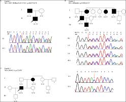 Family Based Whole Exome Sequencing Identifies Novel Loss Of Function Mutations Of Fbn1 For Marfan Syndrome Peerj