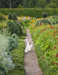 Birkhall Estate In Scotland Birkhall The Home Of The Prince Of Wales On The Balmoral Estate Aberdeenshire Country Life In 2020 Garden Inspiration Beautiful Gardens Cottage Garden