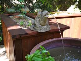 Hydroponic gardens are easy to start in your own home so you can grow throughout the year. 5 Great Fish Options For Your Backyard Aquaponics System Milkwood Permaculture Courses Skills Stories