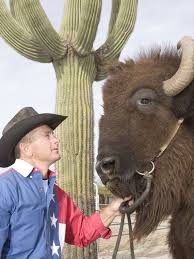 The Eighth Pole: The story of Harvey Wallbanger, the racing buffalo