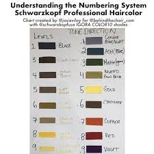 How To Break The Base When Coloring Hair Behindthechair Com Schwarzkopf Hair Color Schwarzkopf Hair Color Chart Professional Hair Color