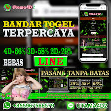 Pin On Bandar Togel Online