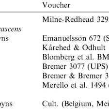 Image result for Multidentia concrescens