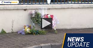 Check spelling or type a new query. Cork Guard Communities Backlash And Zappone Defend The Hotel S Function J99news