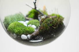 These Amazing Terrarium Lamps Grow Plants In Even The Darkest Rooms