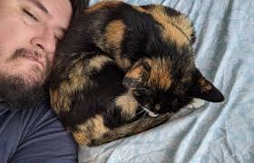 Posts with replies by Don Dramón (@ulmo)