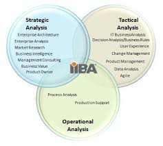 Business Analyst My Job Title Is Not Business Analyst But Am I One