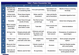 Morphological Characteristics Phylum Chart Related Keywords