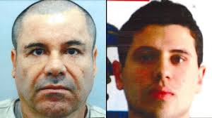 Asesinan en México a 'Camilo Ochoa', la 'oveja negra' de la familia  fundadora de El Pollo Loco