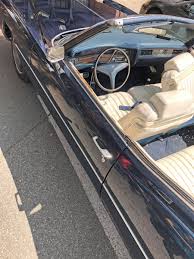 Image result for Garganey Teal 1973 Cadillac