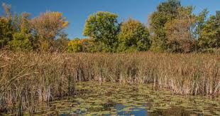We did not find results for: Lower Campground Glacial Lakes Mn