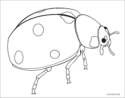 This page has a bunch of facts to enjoy + use the link below to visit nat geo for more fun ladybug facts. Ladybug Coloring Page Free Coloringbay