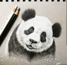 We did not find results for: Panda Drawings Of Cute Animals Novocom Top