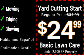 Christchurch, canterbury17 lawnmower repair specialists near you. Lawn Service Near Me Landscaping Call 281 475 8895 Cutting