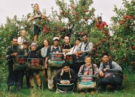 Ladang di australia yg luas serta ingin mencari ejen kerja di australia yg tidak tipu adalah bukan perkara yg senang. Kerja Petik Buah Di Australia Posts Facebook