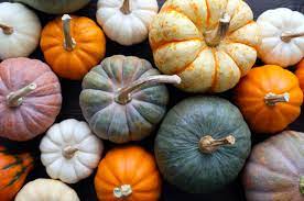 Come Conservare La Zucca Intera Tagliata E Cotta Virosac Magazine