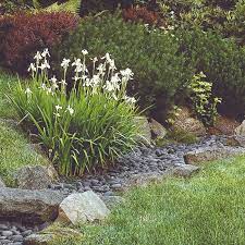 How to divert water runoff from driveway. How To Use Landscaping To Deal With Storm Water This Old House