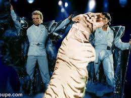 Illusionist duo siegfried (right) and roy, pictured in 1986, became a las vegas institution. Shocking Siegfried And Roy Tiger Attack Video Dailymotion