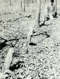 Lively Spring Massacre in Washington County, IL