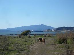 Hike la, la hike, hike in la, la hiking trails, trail hikes, hiking around la, best hike in la, day hiking, hiking. This Is Point Isabel Dog Park Aka Doggie Heaven Dogmom S Dish