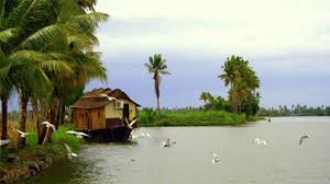 Includes album cover, release year, and user reviews. Elangaathu Veesudhey Youtube