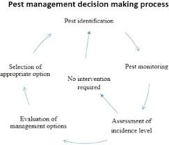 Browse our library of frequently asked questions and discover the answers! Cycle Of The Decision Making Process In Pest Management Download Scientific Diagram