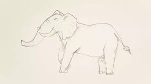 17 sketsa gambar gajah mudah dan . 4 Cara Untuk Menggambar Gajah Wikihow