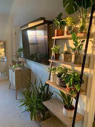 The First Thing I See When I Walk Into Our Bedroom In The Evening Houseplants Aesthetic Room Decor Room Decor House Plants Decor