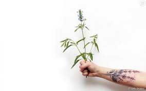 Première partie lien pour l image. Tatouage De Fleur 15 Idees De Tatouages Fleurs Pour L Inspiration Terrafemina