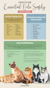 Pin On Pure Essential Oils Highlights Basics