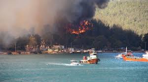 Authorities say firefighters have contained several fires yet high winds make the path of those still the minister also posted a video on twitter of firefighters attempting to contain a fire near the. Jhzgk6jsslyt0m
