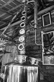 Og Distillery Off Grid All Natural Distillery Local Northern Ontario Distillery Distillery Wild Blueberries Wild Edibles