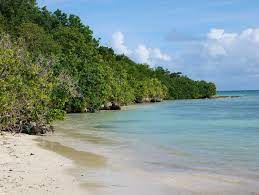 The damage wrought by the storm was more costly than any atlantic hurricane. Die Schonsten Strande Auf Guadeloupe