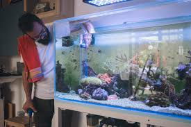 Want to get the best pet supplies and pet food products delivered? Newsletter Suscribe Form Bristol Aquarium