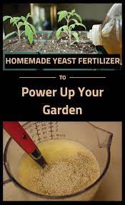 How To Make The Best Fertilizer For Your Plants Plant Fertilizer Diy Homemade Plant Fertilizer Yeast