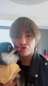 K Pop Idol Pets Who Are Almost As Famous As Their Owners Taehyung Taehyung Selca Bangtan Sonyeondan