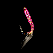 Image result for Sabicea dinklagei