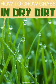 Pin On Lawn Care