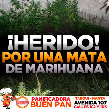 El increíble juego de preg… la oración está expresada como una pregunta y se reconocen con facilidad ya que se encuentran enmarcadas con los signos de interrogación. Olamanta å¸–å­ Facebook