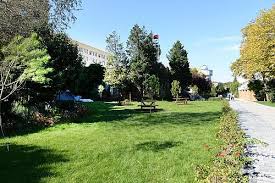 Darussafakali Ogrencilerin Artik Bir Urla Bahcesi Var Darussafaka Cemiyeti