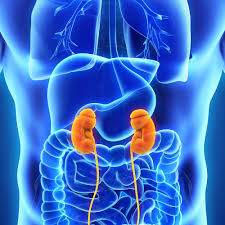 Kidney Disease And Side Effects From Nexium Prilosec And Prevacid