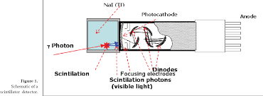 A scintillation detector is often portable. Figure 1 From Basic Principles Of Scintillation Detectors And Gamma Camera Semantic Scholar